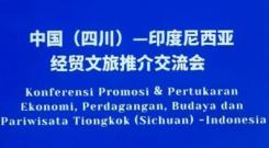 施小琳率四川代表团访问印度尼西亚，雷迪波尔董事长—刘长明和川商总会企业家随团开展经贸活动